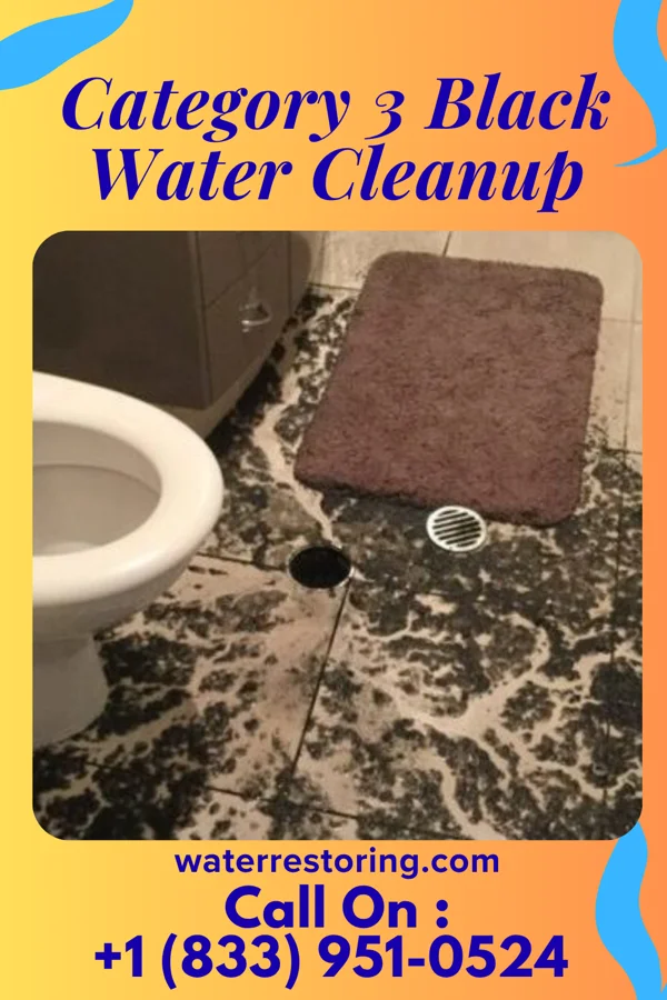Category 3 Black Water Cleanup in Crosspointe, VA