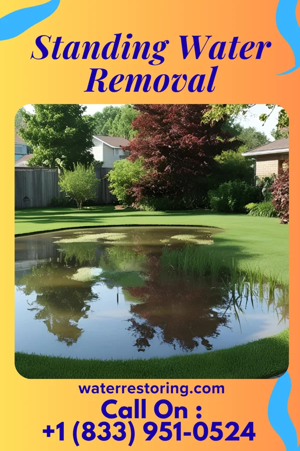 Standing Water Removal in Crosspointe, VA